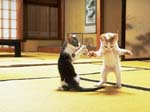 standkitties