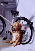 dogbike