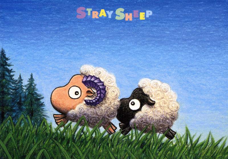 sheep5