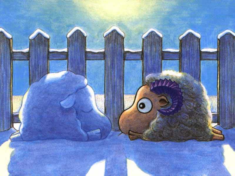 snowsheep