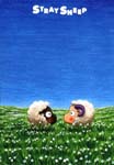 sheep7