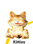 Lovely Kitties ! ! !